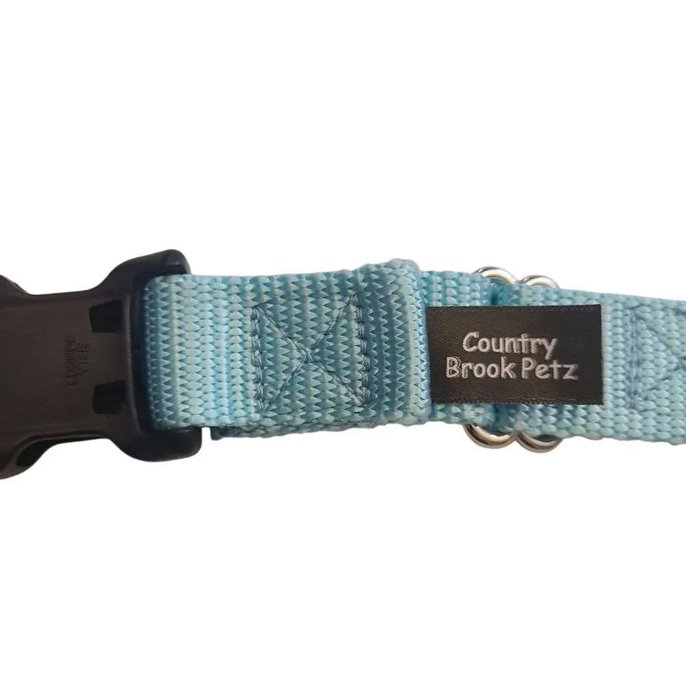 Country Brook Petz Dog Collar Size Large Soft Teal‎ 20